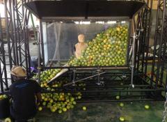 1 ton of lemons rig, mechanical rigs Cape Town