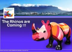 The Rhinos are coming Homepage, 'Nardstar' Rhino