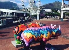 Final painted rhinos, Rhino project, Fabrication Cape Town