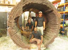 Fabricated tree trunk, Special Effects Fabrication Cape Town