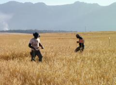 Real life crop circles, Special Effects Cape Town