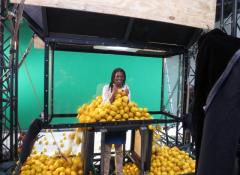 1 ton of lemons rig, mechanical rigs Cape Town