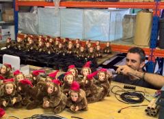 Noisy monkeys, Electronics