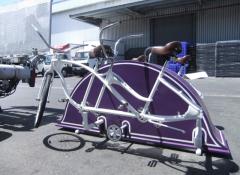 Custom made bicycle, Metal work fabrication South Africa